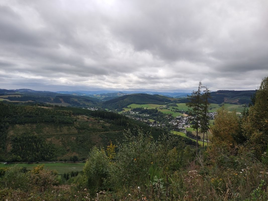 MTB-Tour 🚴 Wennemen, Calle, Kelbketal, Oesterberge, Wenholthausen, Wennemen.
