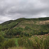 MTB-Tour 🚴 Wennemen, Calle, Kelbketal, Oesterberge, Wenholthausen, Wennemen.