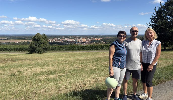 Foto 2 der Bikemap-Route "Kopečná, Valtice nach Rendez-Vous, Valtice" Foto 2 der Bikemap-Route "Kopečná, Valtice nach Rendez-Vous, Valtice"