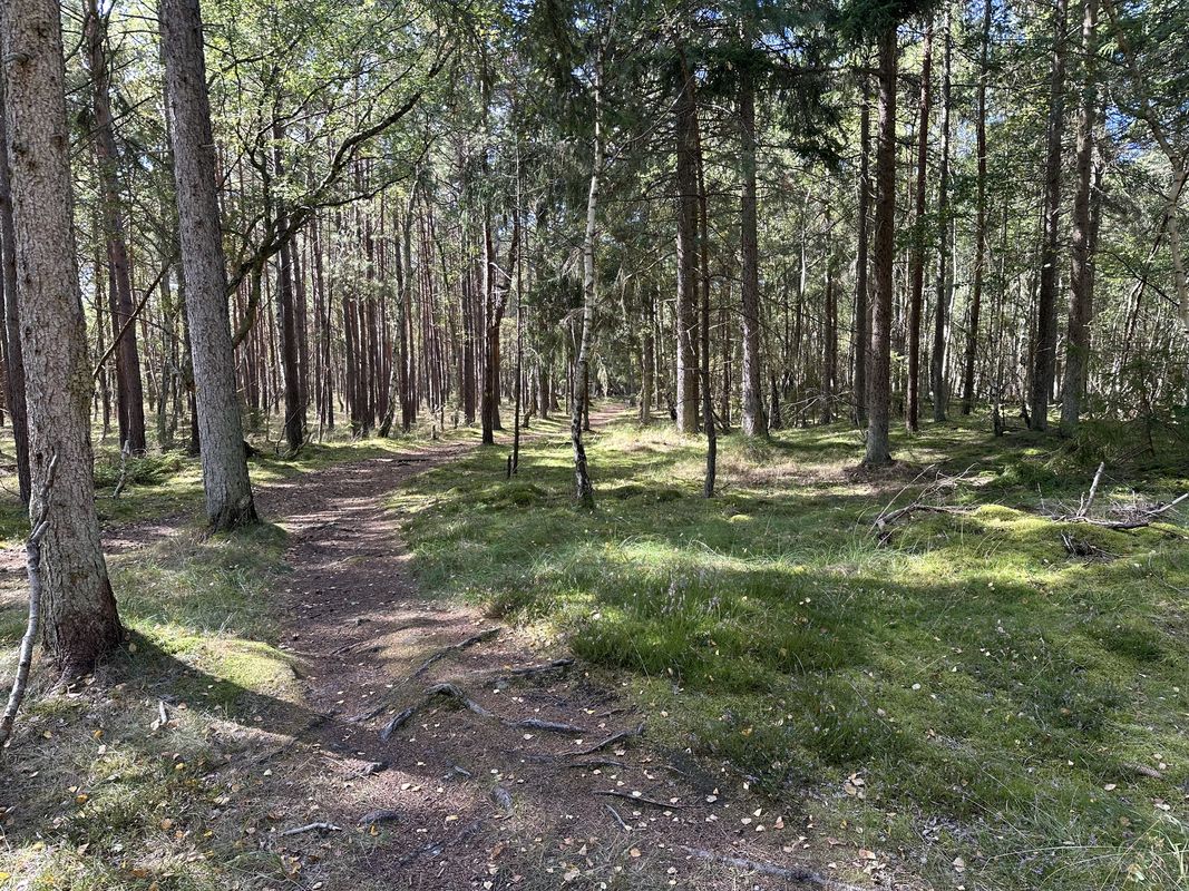 Hovedgaden, Tisvildeleje nach Sundhedsspor Melby Overdrev, Liseleje