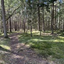 Hovedgaden, Tisvildeleje nach Sundhedsspor Melby Overdrev, Liseleje