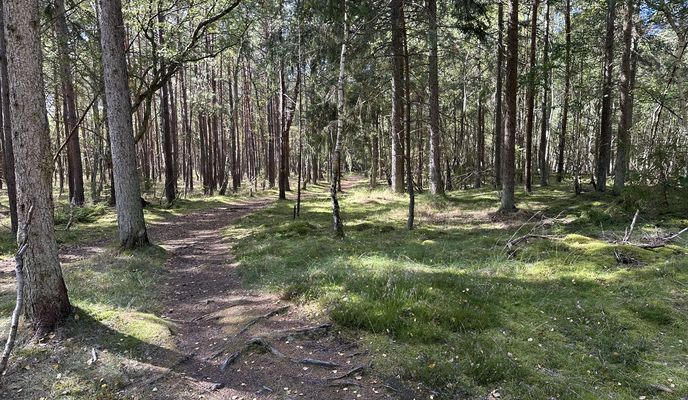 Photo 1 de l’itinéraire Bikemap « Hovedgaden, Tisvildeleje nach Sundhedsspor Melby Overdrev, Liseleje »