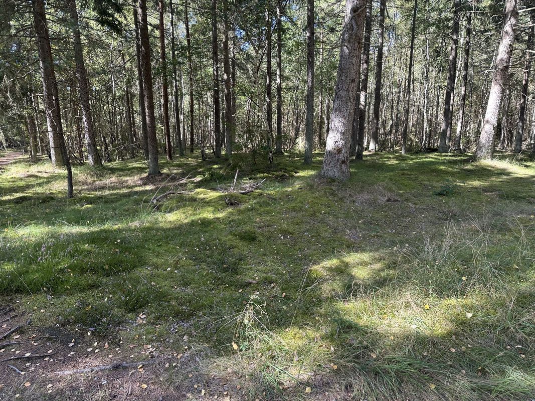 Hovedgaden, Tisvildeleje nach Sundhedsspor Melby Overdrev, Liseleje