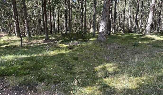 Photo 2 de l’itinéraire Bikemap « Hovedgaden, Tisvildeleje nach Sundhedsspor Melby Overdrev, Liseleje »