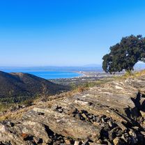 Zdjęcie 8 trasy Bikemap „17 Roses Mas-Oliva Serrat-de-Can-Berta Bombo Maleses Pedres-Negres Pla-de-Les-Gates Fràgam Puig-del-Gall Montjoi Lledó Falconera”