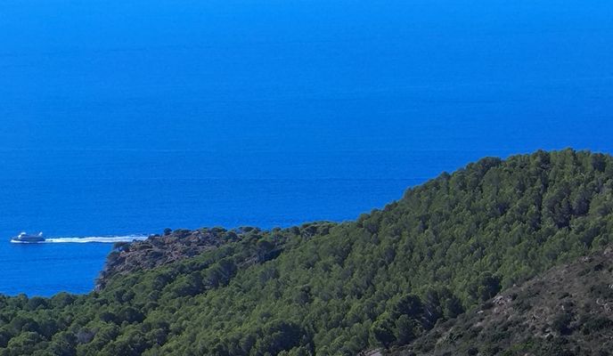 Zdjęcie 2 trasy Bikemap „17 Roses Mas-Oliva Serrat-de-Can-Berta Bombo Maleses Pedres-Negres Pla-de-Les-Gates Fràgam Puig-del-Gall Montjoi Lledó Falconera”