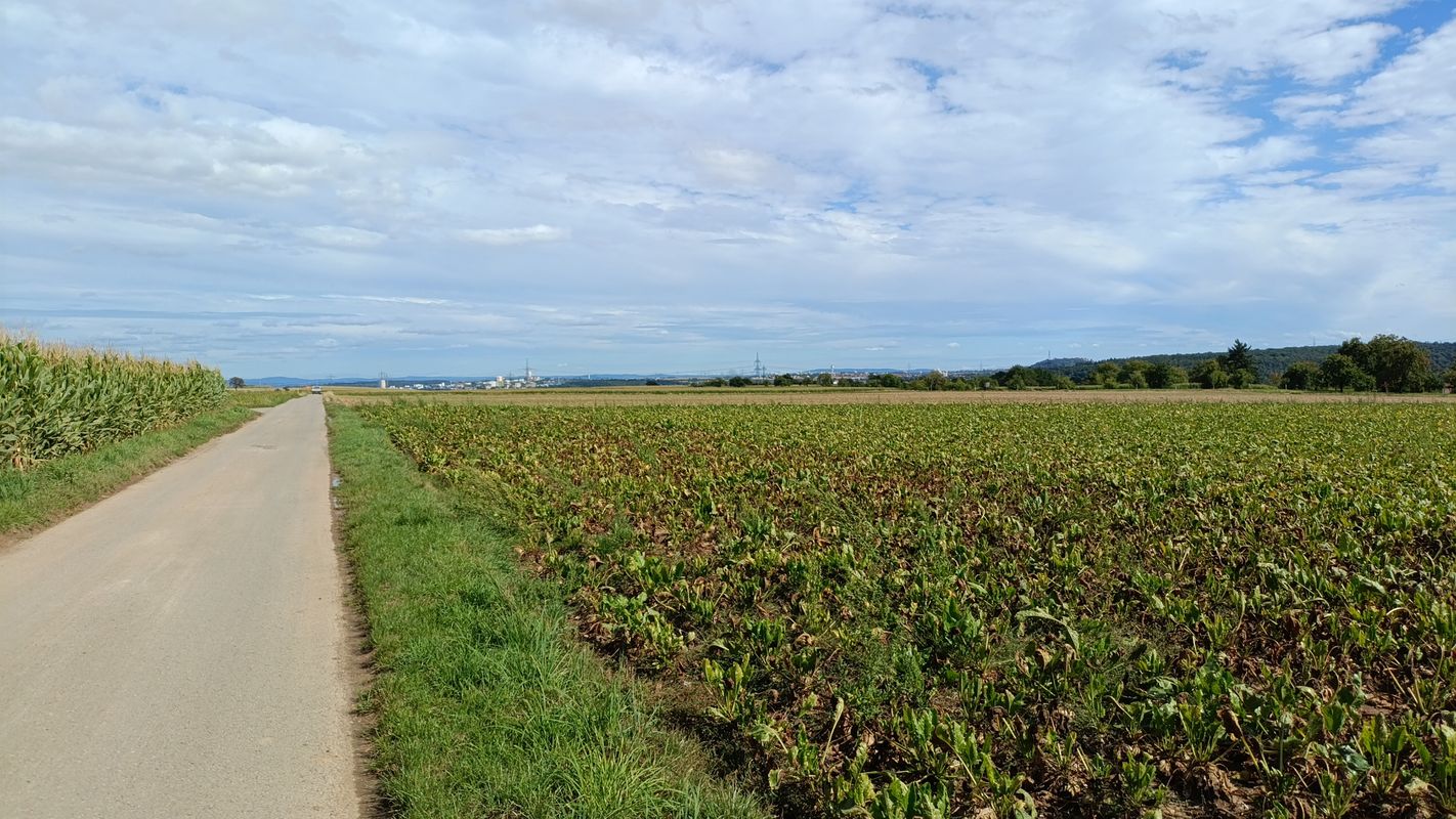 Schulstraße nach Schulstraße