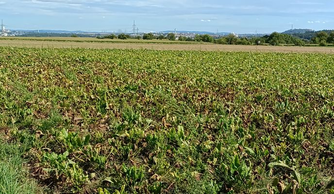 Foto 1 der Bikemap-Route "Schulstraße nach Schulstraße"