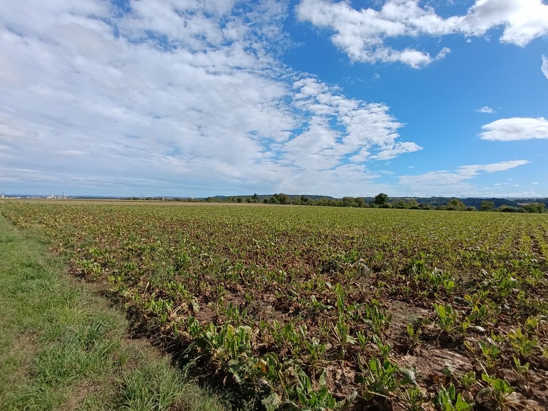 Schulstraße nach Schulstraße