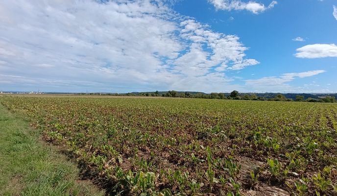 Foto 2 der Bikemap-Route "Schulstraße nach Schulstraße"