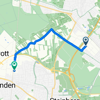 Landsteinerstraße nach Liebigstraße