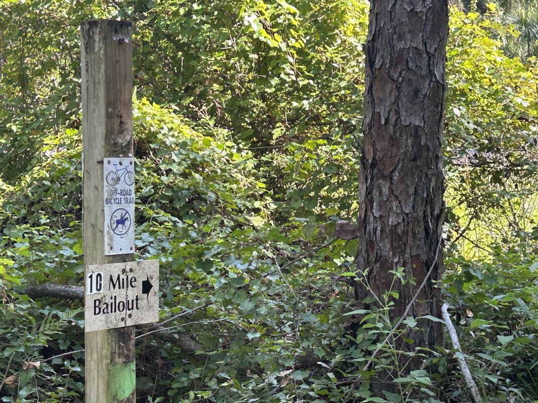 Withlacoochee State Trail, Brooksville to Croom Rital Rd, Brooksville