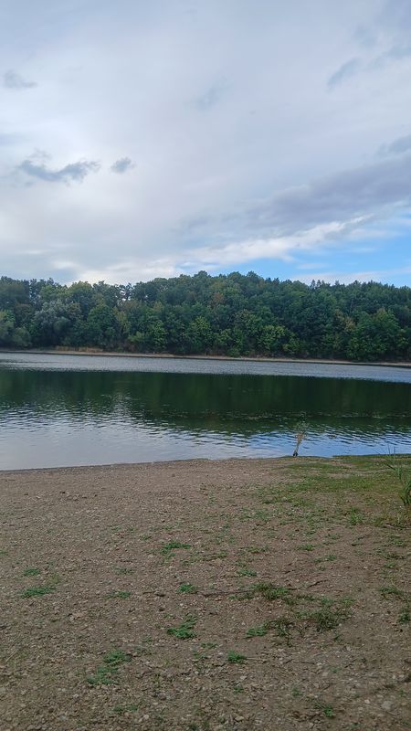 Bismarckstraße nach Bachstraße