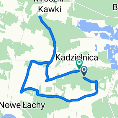 Trasa z Drozdowo, Rzewnieą
