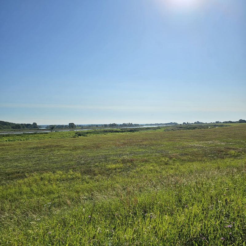 Von Oderberg nach Frankfurt/Oder