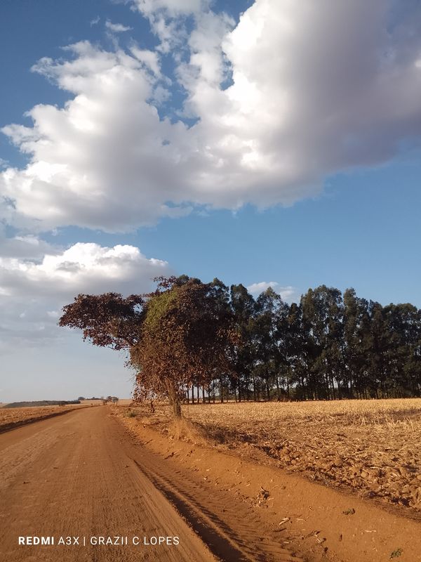 De Avenida Três a Avenida Três