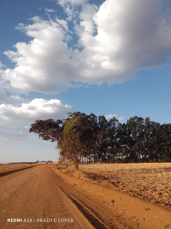 De Avenida Três a Avenida Três