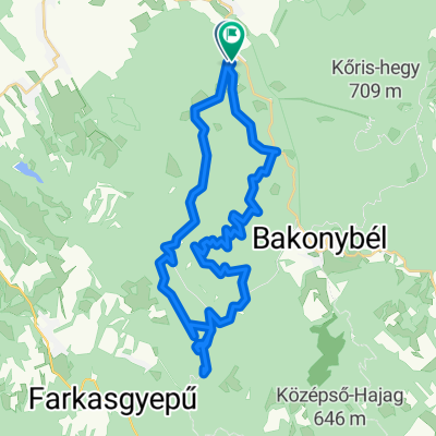 Huszárokelőpuszta - Bakonykoppány