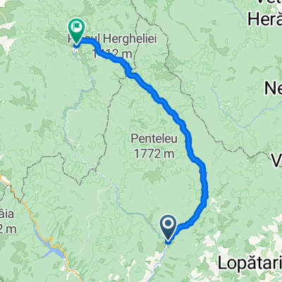 Gura Teghii - Kommandó