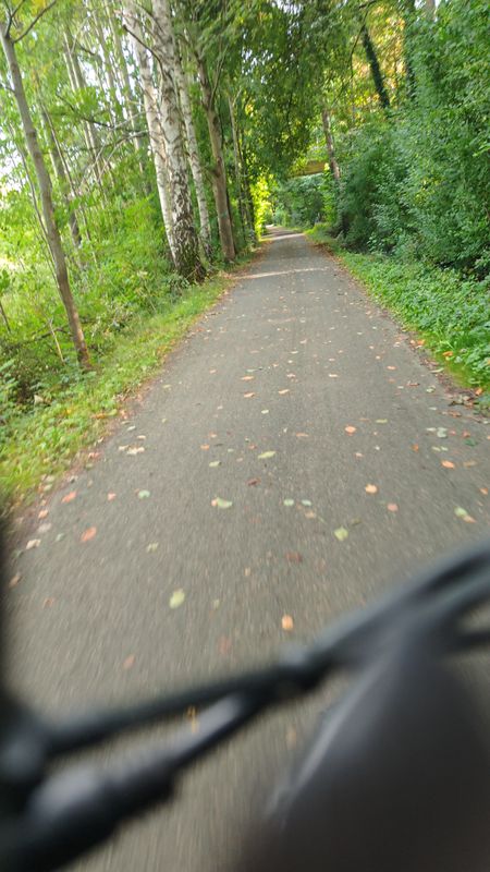 Tannenweg nach Elsestraße