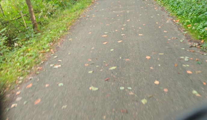 Photo 2 of the Bikemap route "Tannenweg nach Elsestraße"