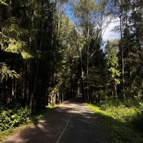 Волковское шоссе, Городской Округ Мытищи до улица Колпакова, Мытищи