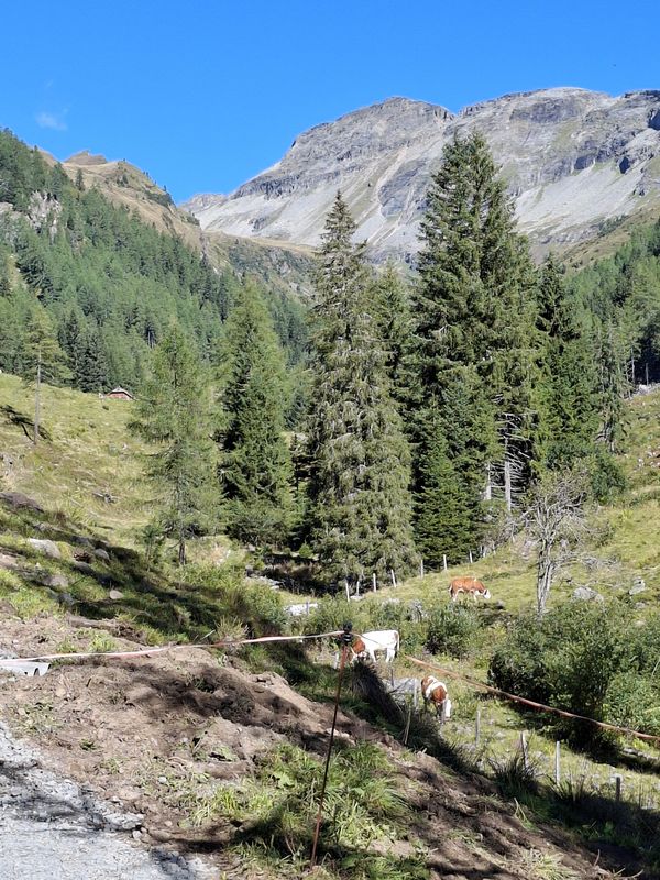 Feicht 74/1 nach Hühnersberg