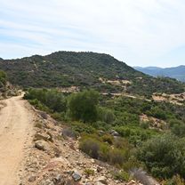Kalamitsi - Panorama tavern - St. Ilias - Sykia