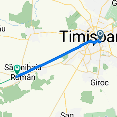 Strada Aurelianus, Timișoara to DJ591, Sânmihaiu Român