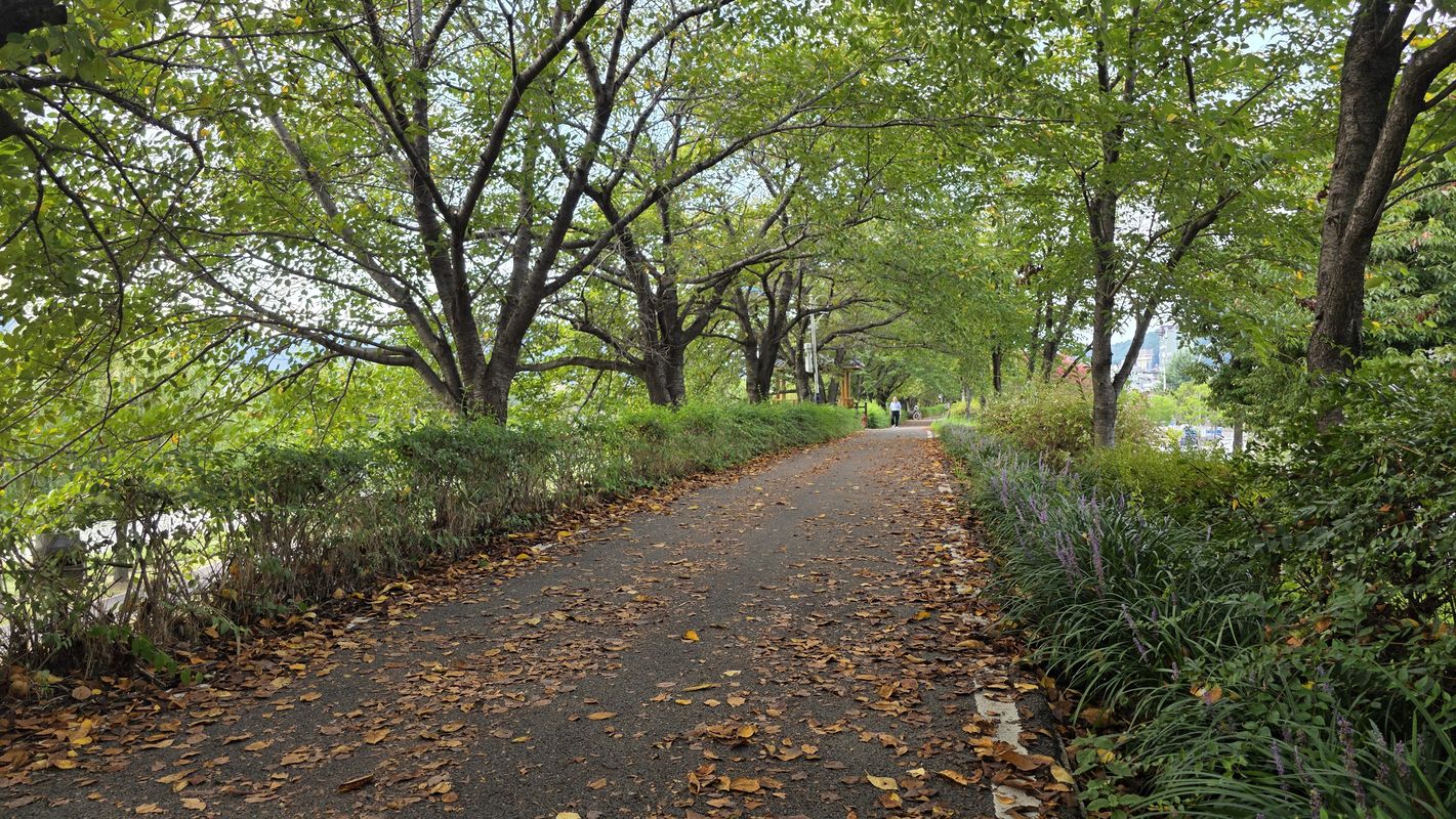 광양읍-순천제일대-호수공원