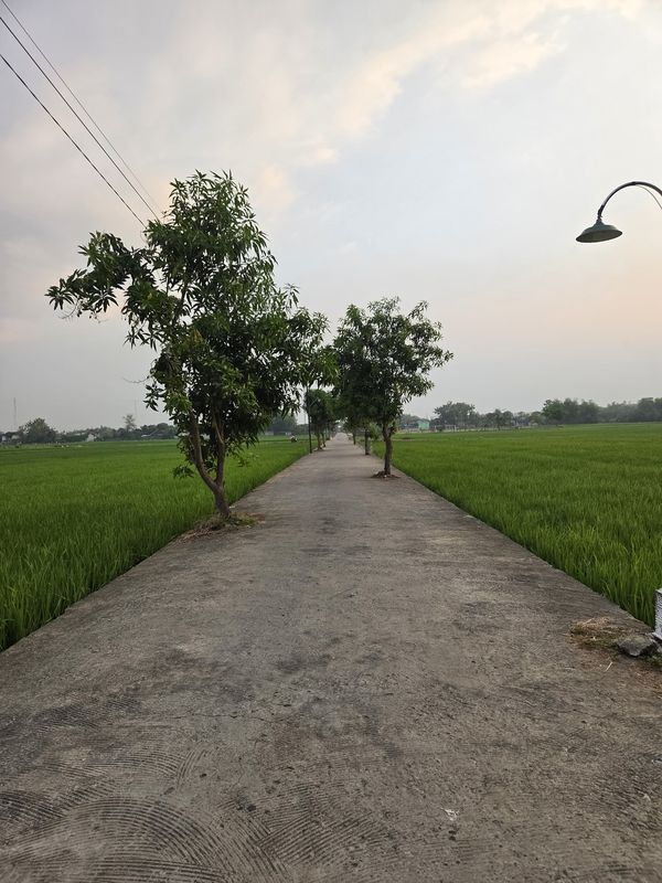 GWGP+33X to GWGP+22W