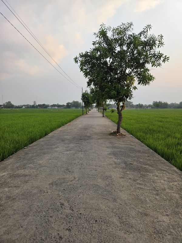 GWGP+33X to GWGP+22W