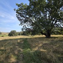 Photo 7 of the Bikemap route "Saschiz -Sighișoara" Photo 7 of the Bikemap route "Saschiz -Sighișoara"