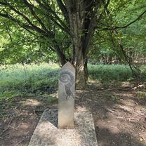 Photo 8 of the Bikemap route "Saschiz -Sighișoara" Photo 8 of the Bikemap route "Saschiz -Sighișoara"