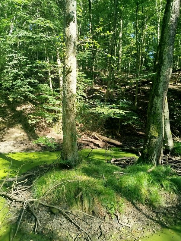 Drobného do Drobného