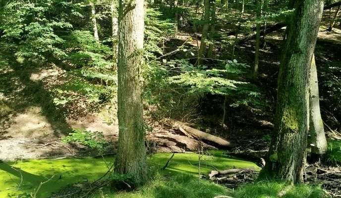 Zdjęcie 1 trasy Bikemap „Drobného do Drobného”