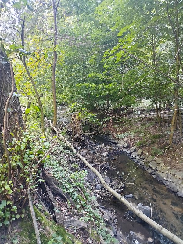 Drobného do Drobného