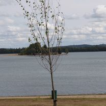 Emmerich - Westervoort - Emmerich