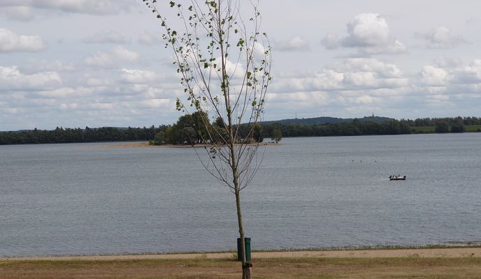 Foto 1 der Bikemap-Route "Emmerich - Westervoort - Emmerich" Foto 1 der Bikemap-Route "Emmerich - Westervoort - Emmerich"