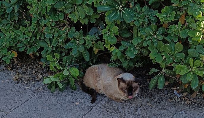 Photo 1 de l’itinéraire Bikemap « práctico suspendido »