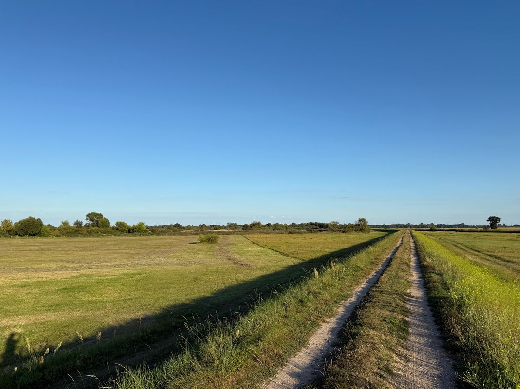 Stare Miasto Cycling