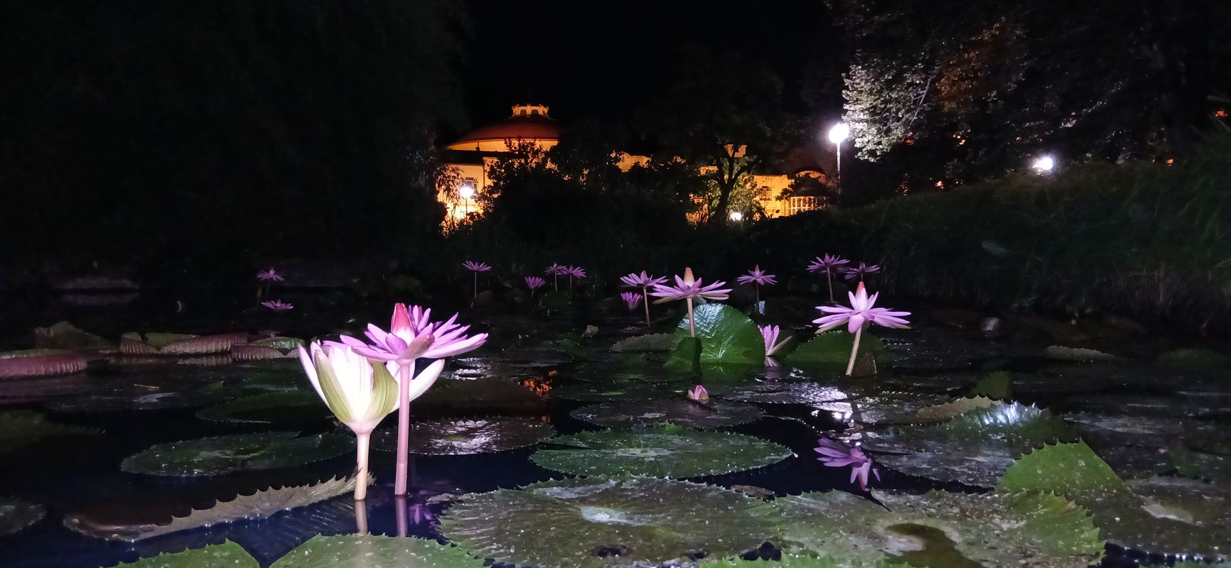 Južná do Námestie Slobody 1708/17