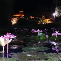 Južná do Námestie Slobody 1708/17