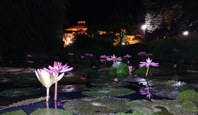 Foto 1 der Bikemap-Route "Južná do Námestie Slobody 1708/17" Foto 1 der Bikemap-Route "Južná do Námestie Slobody 1708/17"