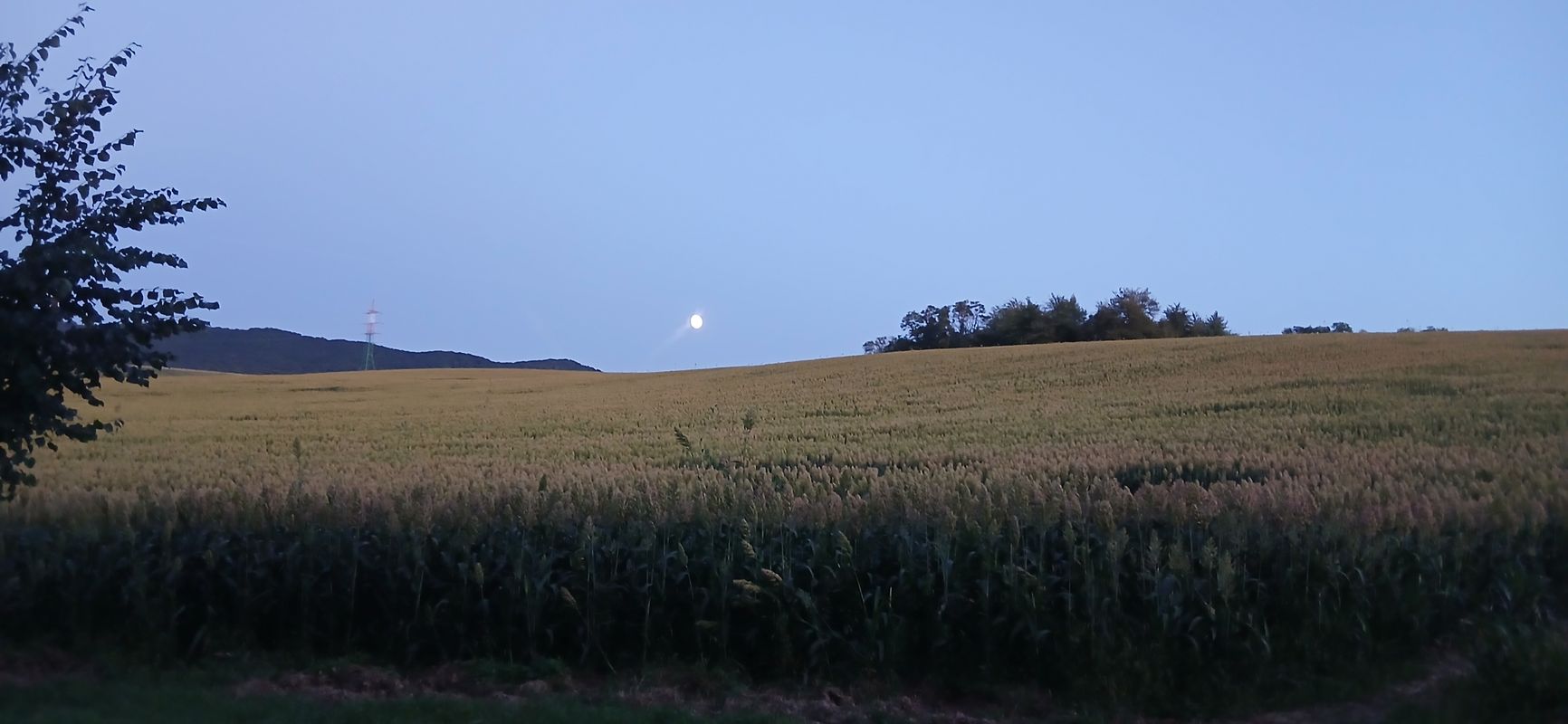 Južná do Námestie Slobody 1708/17