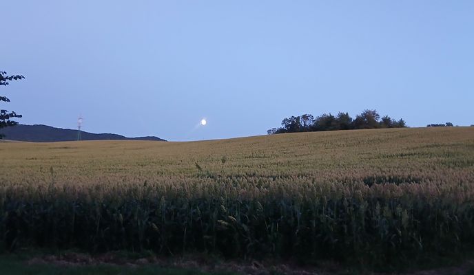 Foto 2 der Bikemap-Route "Južná do Námestie Slobody 1708/17" Foto 2 der Bikemap-Route "Južná do Námestie Slobody 1708/17"