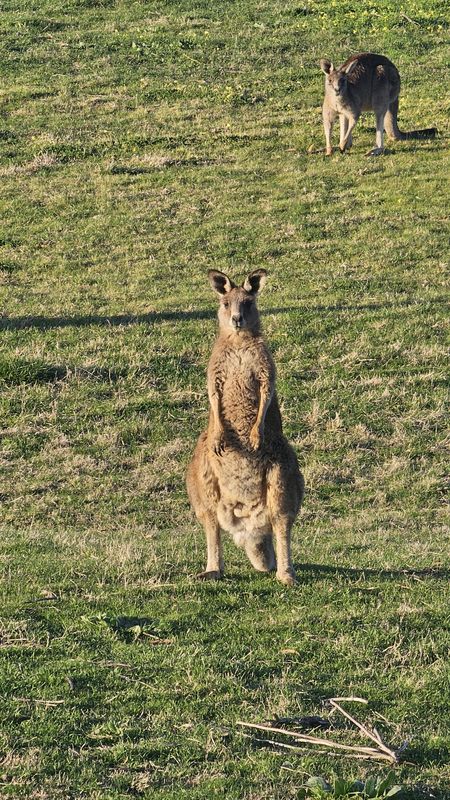 Gordons Road to Gordons Road