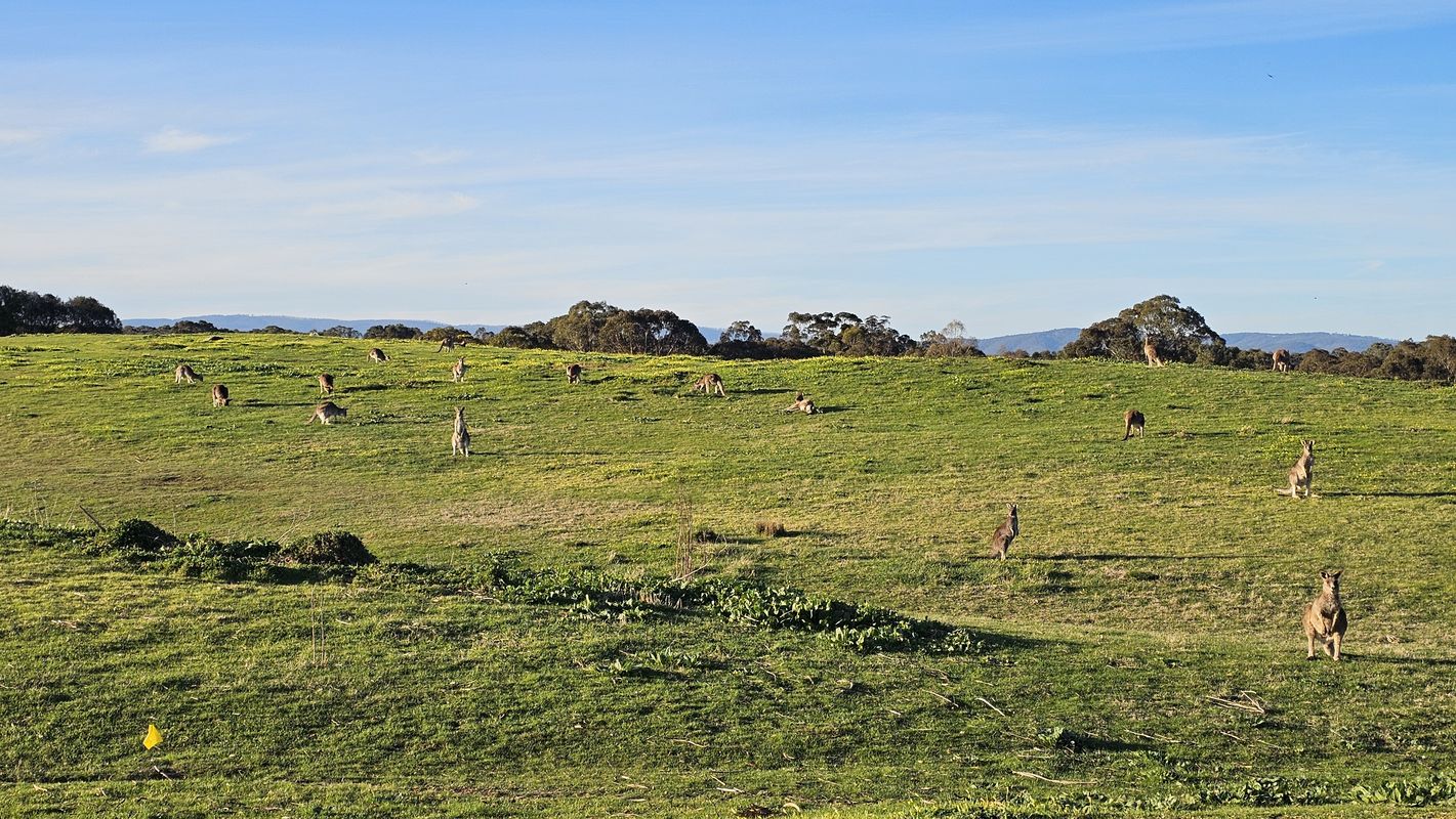 Gordons Road to Gordons Road