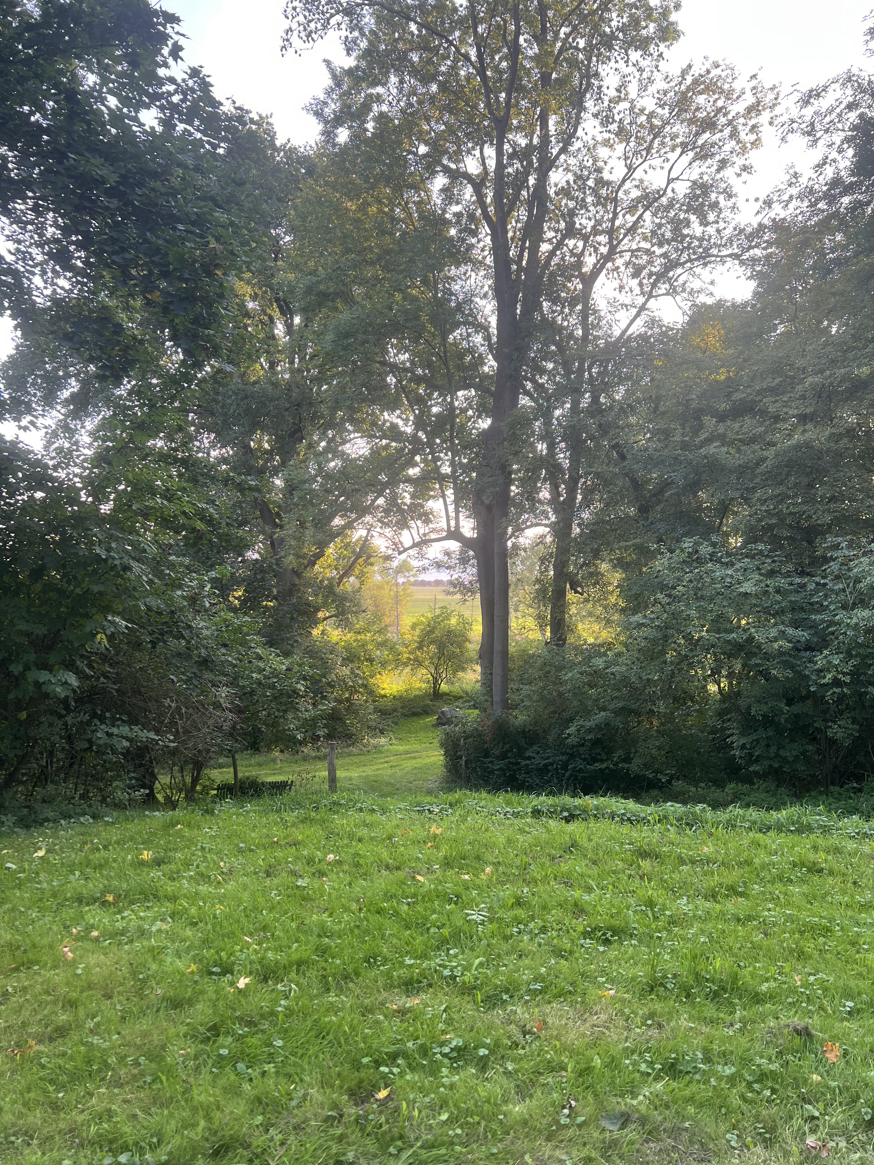 Loickenzin, Altentreptow nach Loickenzin, Altentreptow