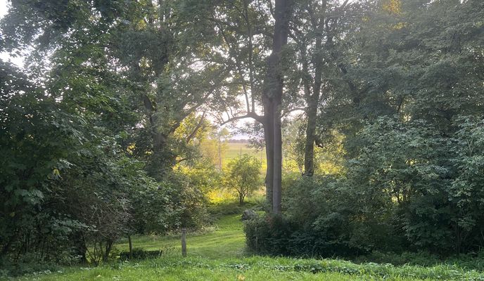 Foto 1 der Bikemap-Route "Loickenzin, Altentreptow nach Loickenzin, Altentreptow"